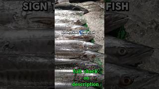 புதிய மற்றும் தரமான மீனை எப்படி தேர்வு செய்வது #howto #fish