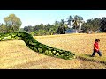 anaconda snake move - part 24 - real video @vfx st tv