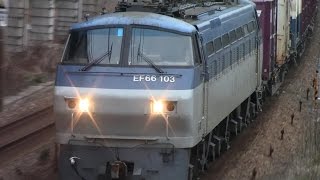 【山陽本線】JR貨物　EF66-103号機牽引　5071レ貨物列車