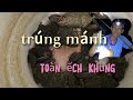 săn đêm mùa nước nổi ở miền tây #Dieutv gặp toàn ếch khủng