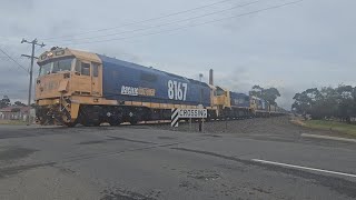 7734V PN loaded grain (8167+X50+8163), Murtoa to Geelong, 1017, 24/11/24, Stawell VIC