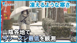 【今シーズン一番の寒さ】人も犬も防寒対策…　山陰地方24地点で今季最低気温を観測　鳥取県・島根県