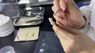 glazing on 3d pro zirconia