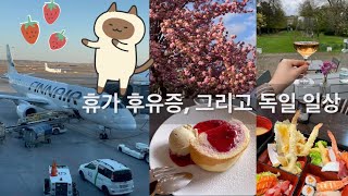 [Lifestyle]한국 휴가 후유증, 그리고 독일 뒤셀도르프 일상 | 벨기에 브뤼셀 나들이 | 동네 맛집