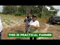 benefits of climate smart farming in nigeria ceo of amity global farms shares insights