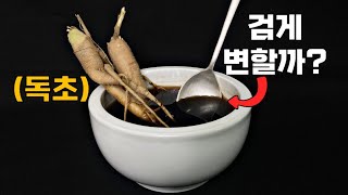 은수저에 독이 닿으면 정말 검게 변할까? 사약재료로 직접 해봤다