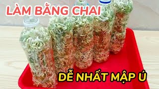 Cách làm giá đỗ bằng chai nhựa siêu dễ | Cách làm giá đỗ trắng mập đơn giản