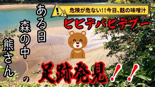 朝里ダムにループ橋を見に行ったらまさかの展開！！ドキがムネムネの散策路