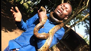 How Do Snakes Kill People Live Experiment In Africa