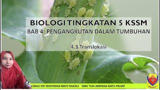 BIOLOGI TINGKATAN 5 KSSM: BAB 4:  4.3TRANSLOKASI