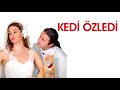 kıymet aşkı almaya geliyor kedi Özledi film