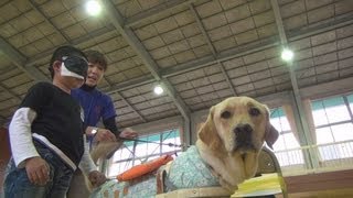 小学生が盲導犬とふれあう