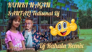 🎧🎧KUNKI NAGIN NEW SANTALI Tedisenal Dj🎧🎧DJ RAHALA REMIX