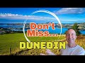 MUST KNOW - Best Things to Do in Dunedin New Zealand