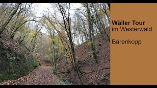 Wäller Tour „Bärenkopp“ – Tagestouren im Westerwald