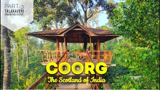 Coorg - The Scotland of India | Part 3 | Tala Kaveri, Ibbani Cadu Estate