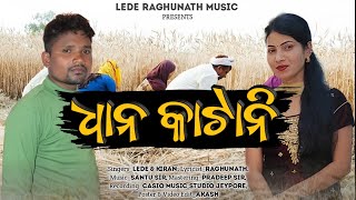 Dhan Katani | ଧାନ କାଟାନି | New Desia Song | Koraputia Song 2022 | Pala Ropa Desia Song | #LedeKiran