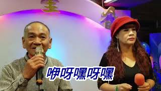 小小羊兒要回家字幕劉瑩珊+蔡東正机明佐