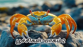 Insects in tamil with real time images part 2 /பூச்சிகள் video for kids/ பூச்சிகளின் பெயர்கள்