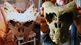 The Most BIZARRE Skulls & Skeletons Ever Discovered