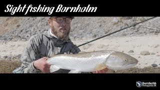 Sight fishing Bornholm