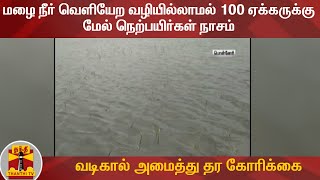 மழை நீர் வெளியேற வழியில்லாமல் 100 ஏக்கருக்கு மேல் நெற்பயிர்கள் நாசம்- வடிகால் அமைத்து தர கோரிக்கை