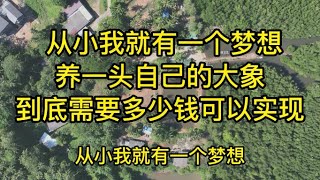 从小我就想养一头大象，在泰国养一头大象需要多少钱