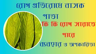 বাসক পাতার উপকারিতা ও অপকারিতা। Benefits and harms of Basak leaves#healthy #banglahealthtips ..