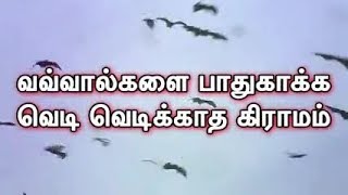 வவ்வால்களை பாதுகாக்க வெடி வெடிக்காத கிராமம்.....