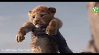 The Lion King Whatsapp status (HD)