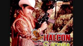 el halcon de la sierra - los arellano felix.