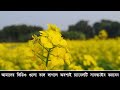 ম্যাডামের মেয়ে যখন রোমান্টিক বউ সকল পর্ব romantic love story golpo ashik priyanka