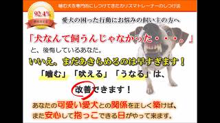 噛み犬のしつけに重点的に取り組んできたカリスマトレーナーのしつけ法