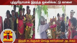 புற்றுநோயால் இறந்த ஜல்லிக்கட்டு காளை - இறுதி சடங்குகள் செய்து ஊர்மக்கள் அடக்கம்