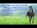 【チューリップ賞2022 最終予想】高いラップ適性と配当面が魅力の本命馬！馬場や展開など好走条件が揃っている！