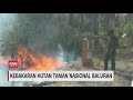 Kebakaran Hutan Taman Nasional Baluran