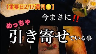 【満月🌝の嬉しい展開】今まさに✨🏇引き寄せている事❤️引き寄せている縁🌳とは？🌈恐ろしいほど当たるルノルマン🔮