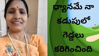 ధ్యానమే నా కడుపులో గెడ్డలు కరిగించింది/oneness vegetarianism