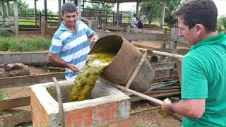 Biodigestor fácil e barato. Grupo Espaço Rural