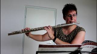 Koehler  on alto flute  15 easy Excersis op.33 book 1