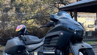 茨城県霞ヶ浦ツーリング　#ゴールドウイングF6B  # ランチ　#蓮根蕎麦　#バイク仲間　　　　　　　[モトブログ]