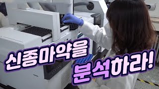 신종마약의 데이터베이스를 모아라! [핫클립] / YTN 사이언스