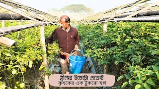 গ্রীষ্মের টমেটো চাষ করে আপনি হতে পারেন একজন কৃষি উদ্যোক্তা// Summer tomato cultivation