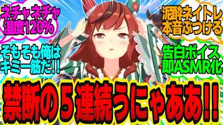 ハネムーン！？トレーナーが既婚だと勘違いしてジメジメするネイチャに対してのトレーナーの反応まとめ【ウマ娘反応集・ナイスネイチャ】ウマ娘プリティーダービー