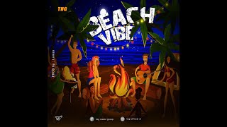 T.N.G - Beach Vibe (Official Lyrics  Video)