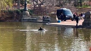 NYPD dive team back in Central Park looking for evidence in murder of UnitedHealthcare CEO