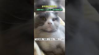 网友：猫说这个家没我迟早得散。#萌宠成精了 #这操作都看傻了