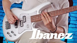 Do you need more? Ibanez SRMD200D-PW 4-string bass / Metal / Tone Test