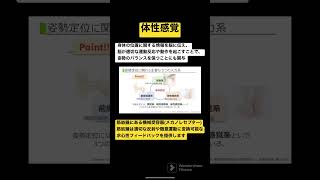 体性感覚系－姿勢定位に関わる主要な3つの入力系－