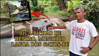 SÍTIO, RIACHÃO DE DENTRO-BICA OS MELHORES BANHOS- PE 🌵